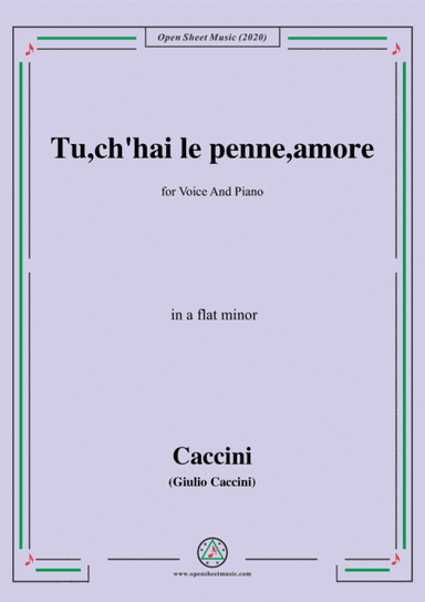 Caccini-Tu,ch'hai le penne,amore,in a flat minor,for Voice and Piano (arr. MSM)