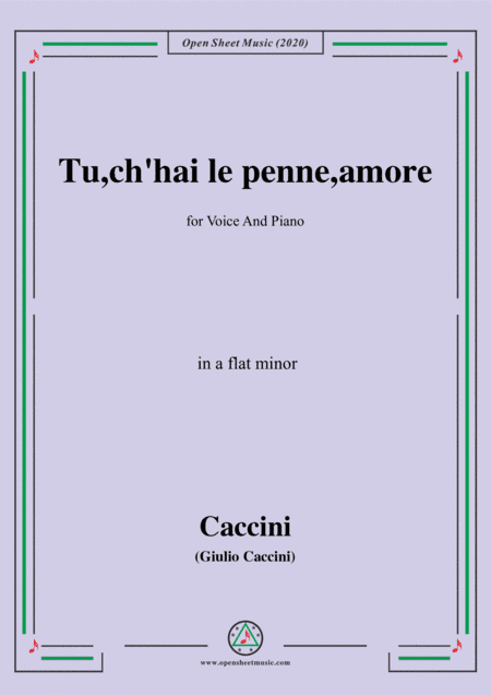 Caccini-Tu,ch'hai le penne,amore,in a flat minor,for Voice and Piano (arr. MSM)