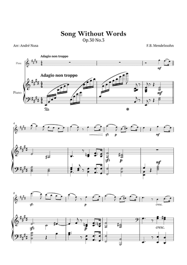 Song Without Words Op.30 No.3 (arr. André Nusa)