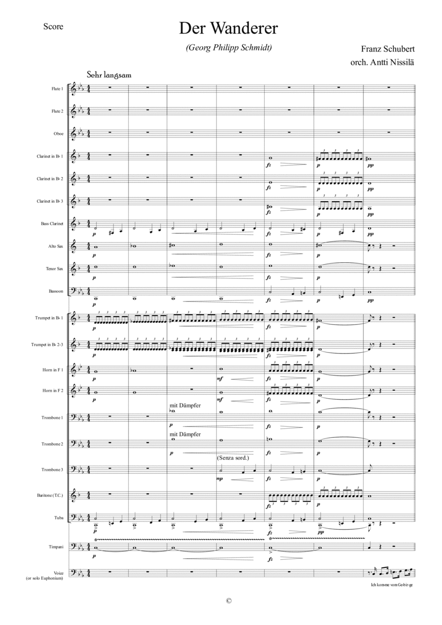 Der Wanderer (arr. Antti Nissilä)