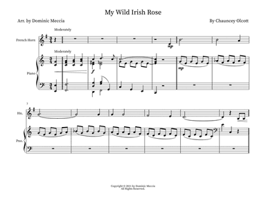 My Wild Irish Rose (arr. Dominic Meccia)