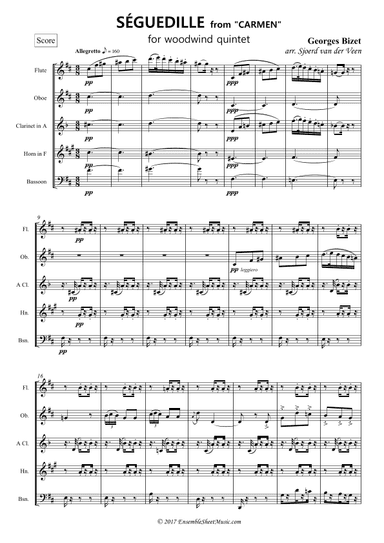 Séguedille from "Carmen" (arr. Sjoerd van der Veen)
