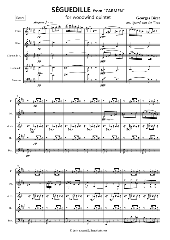 Séguedille from "Carmen" (arr. Sjoerd van der Veen)