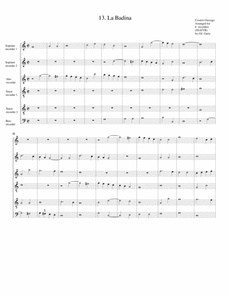 Sonata no.13 a6 (28 Sonate a quattro, sei et otto, con alcuni concerti (1608)) "La Badina" (arrangem (arr. Gil Garty)