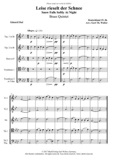 Snow Falls Softly At Night (arr. Gert Th. Walter)
