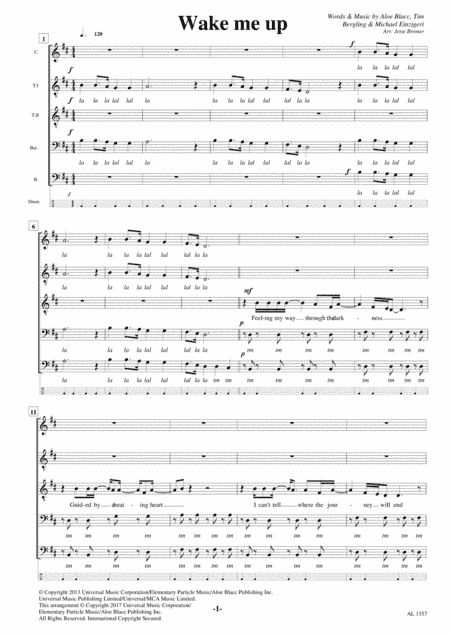 Wake Me Up (arr. Jetse Bremer)