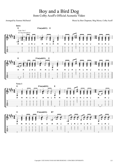 Boy And A Bird Dog (arr. Seamus McDaniel)