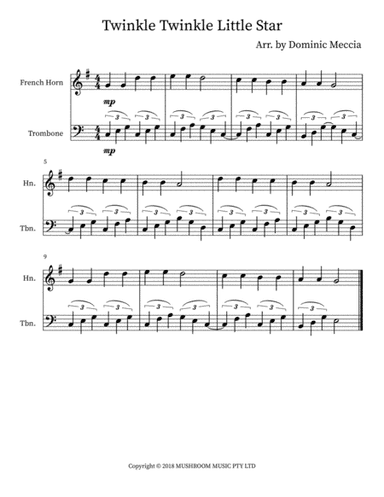 Twinkle Twinkle Little Star (trad Arr) (arr. Dominic Meccia)