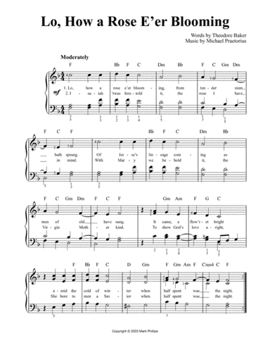 Lo, How a Rose E’er Blooming (arr. Mark Phillips)