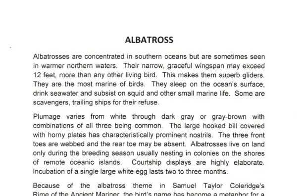 "Don't Forget The Albatross!" A Musical Setting of Noah And The Ark
