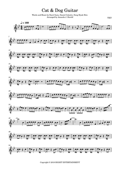 Cat & Dog (arr. Amanda's Music Channel)