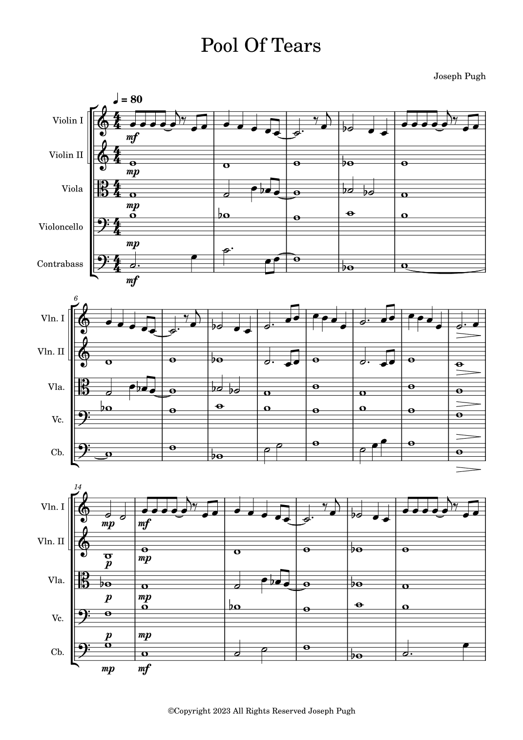 Pool Of Tears(Youth Symphony)