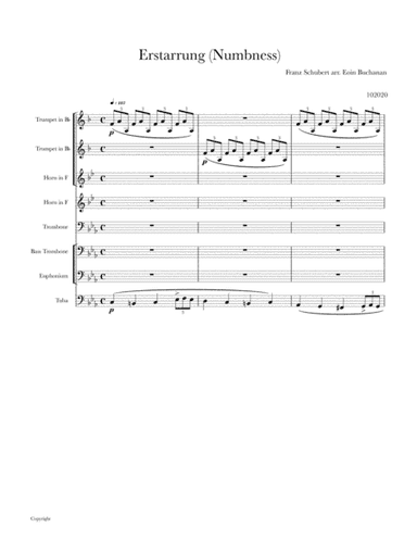 Winterreise: Erstarrung (Numbness) (arr. Eoin Buchanan)