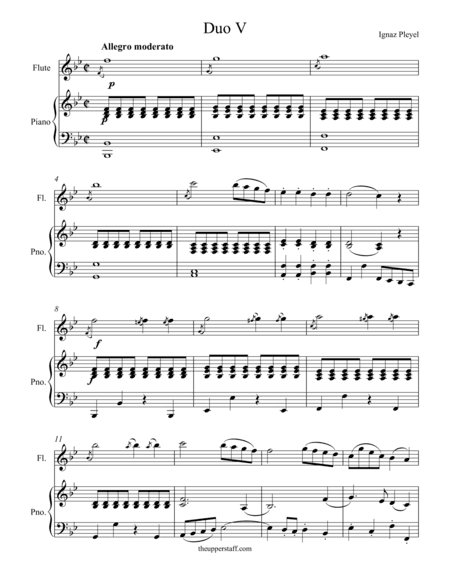 Duo #5 (arr. Nick Lacanski)