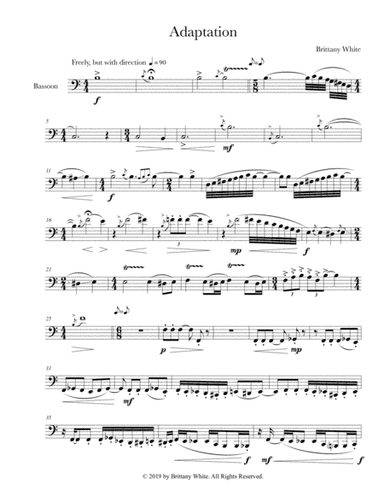 Solo Bassoon - "Adaptation"