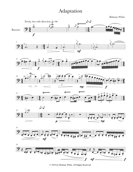 Solo Bassoon - "Adaptation"
