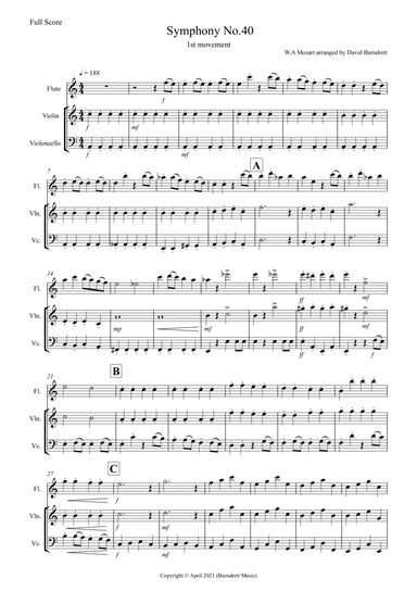 Symphony no.40 (1st Movement) for Flute, Violin and Cello Trio (arr. David Burndrett)