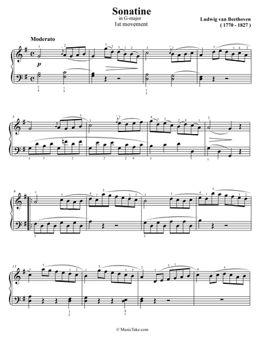 Beethoven Sonatina in G Major 1st movement (arr. Ben Choupak)