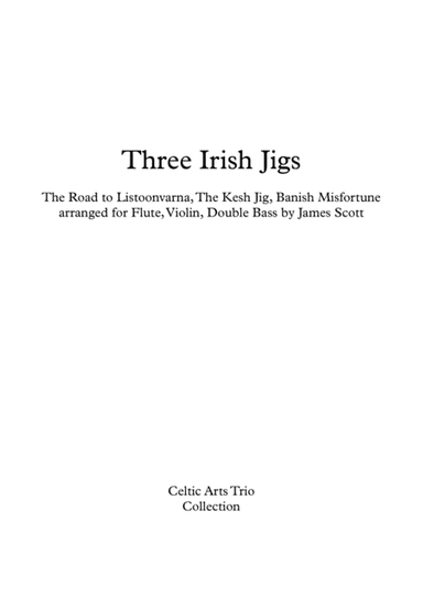 Three Irish Jigs arranged for Flute, Violin, Double Bass by James Scott. (arr. Mesa Music Publishing)