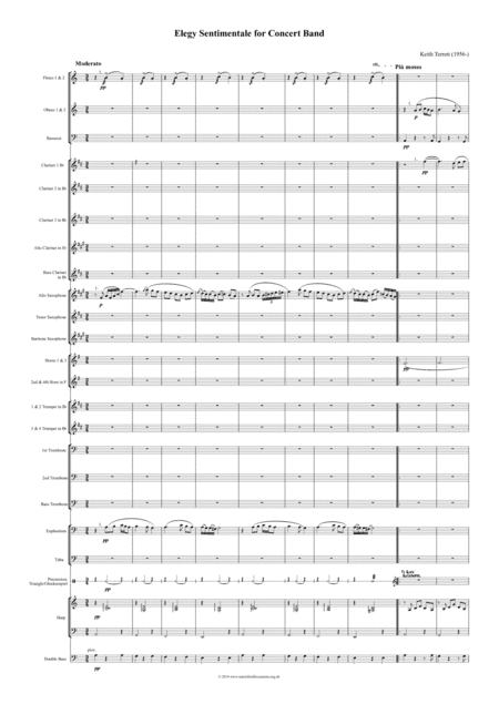 Elegy Sentimentale for Concert Band