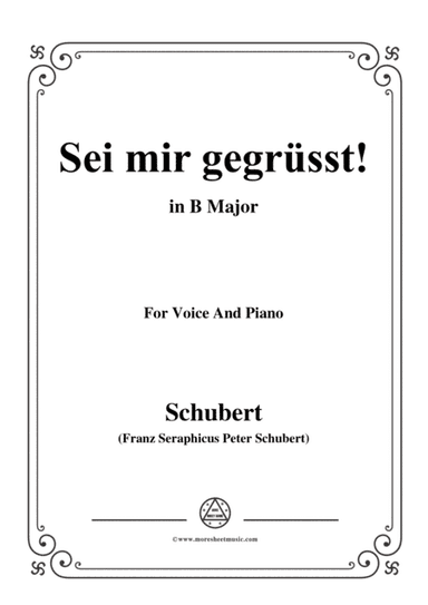 Schubert-Sei mir gegrüsst!,Op.20 No.1,in B Major,for Voice&Piano (arr. MSM)