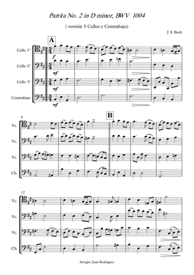 Sarabande of Partita No. 1 in D minor, BWV 1002 (arr. Juan Antonio Rodríguez García)