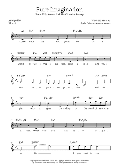 Pure Imagination (arr. BTmusic)
