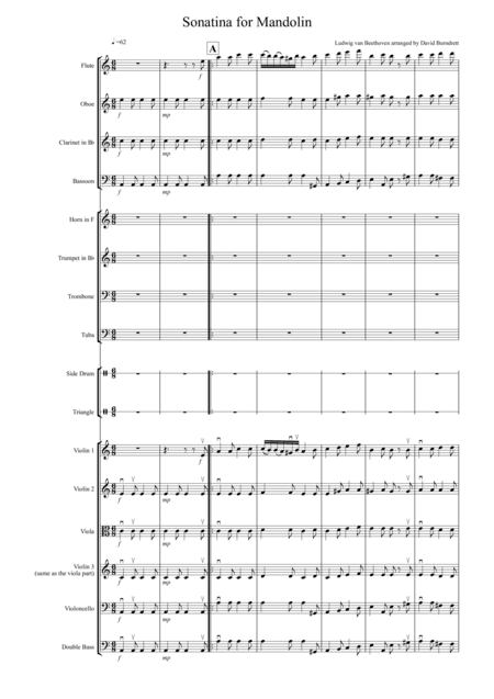 Sonatina by Beethoven for School Orchestra (arr. David Burndrett)