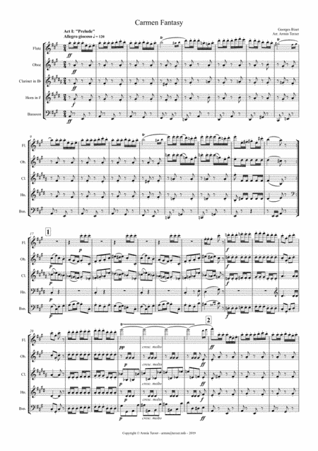 Carmen Fantasy (arr. Armin Terzer)