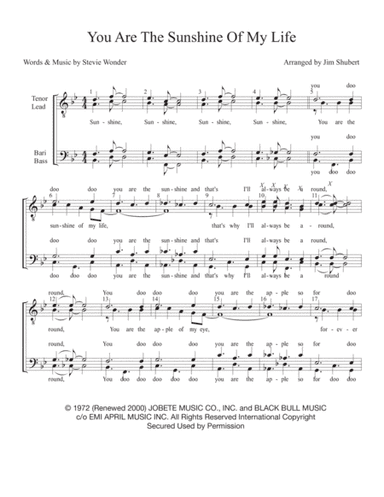 You Are The Sunshine Of My Life (arr. Jim Shubert)