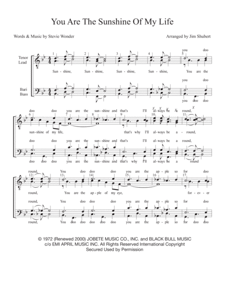 You Are The Sunshine Of My Life (arr. Jim Shubert)