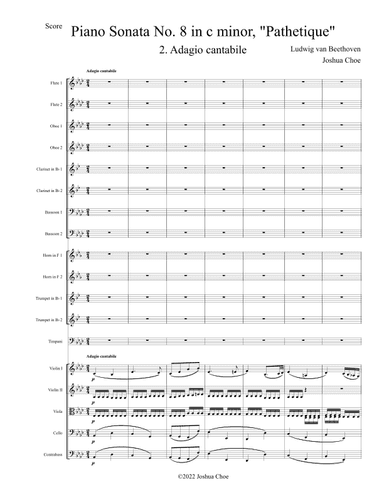 Pathetique Sonata, Movement 2 (arr. Joshua Choe)