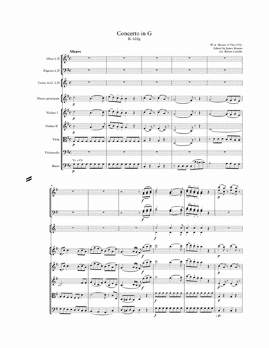 W.A. Mozart - Flute Concerto K.622g ( Berlin Manuscript) Full Score and parts (arr. James Strauss)