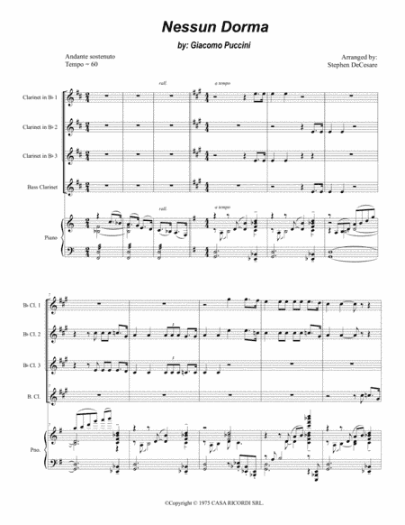 Nessun Dorma (arr. Stephen DeCesare)