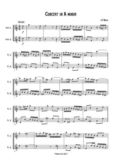 Flute duet - Bach Violin concerto A minor 1st movement (arr. Darren Lloyd)