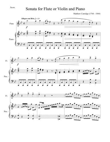 Matthew Camidge- Sonata for Flute and Piano (arr. Tim Knight)