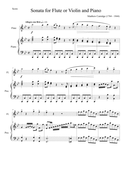 Matthew Camidge- Sonata for Flute and Piano (arr. Tim Knight)