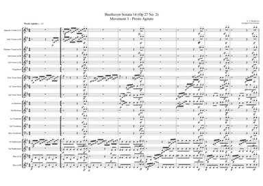 Beethoven Sonata 14 (Op 27 No. 2) Movement 3 - Presto Agitato (arr. Chris Gorman)
