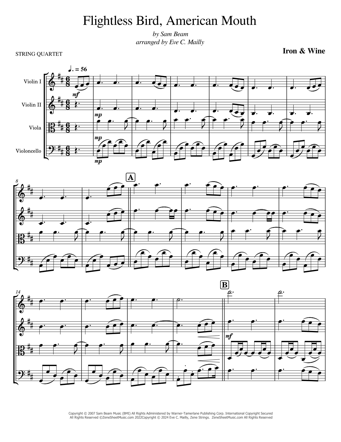 Flightless Bird, American Mouth (arr. Eve C. Mailly - Zene Strings)