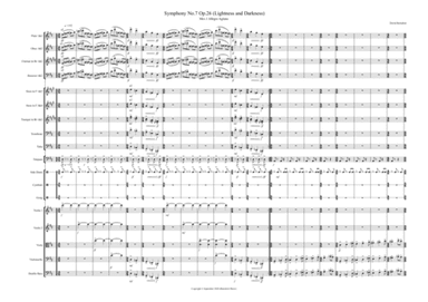 Symphony No.7 Op.26 (Lightness and Darkness)