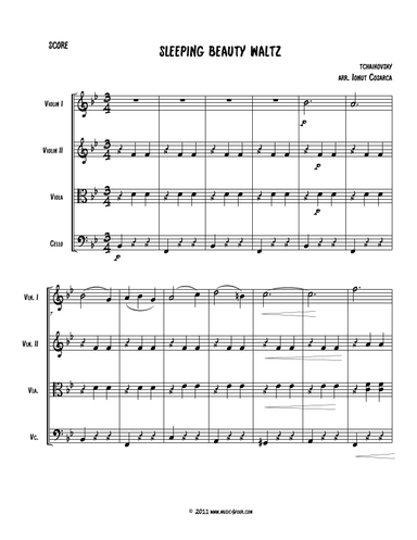 Waltz from "Sleeping Beauty" (arr. Ionut Cosarca)