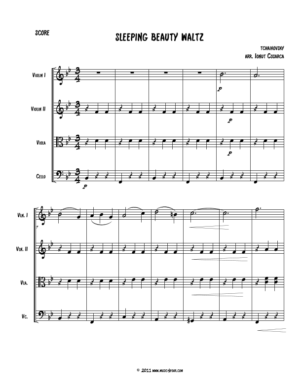 Waltz from "Sleeping Beauty" (arr. Ionut Cosarca)