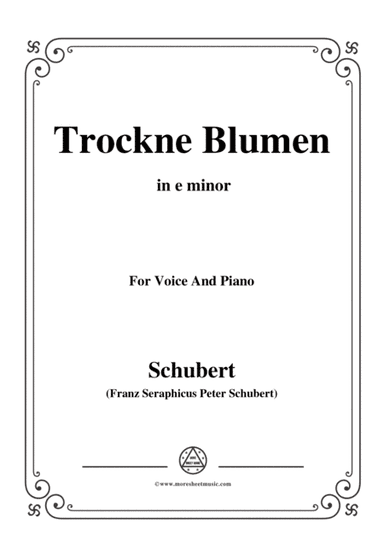 Schubert-Trockne Blumen,from 'Die Schöne Müllerin',Op.25 No.18,in e minor,for Voice&Piano (arr. MSM)