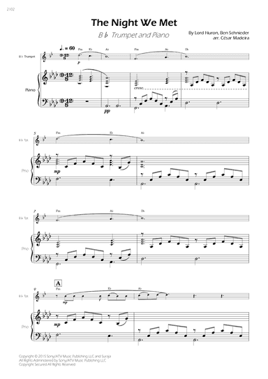 The Night We Met (arr. César Madeira)