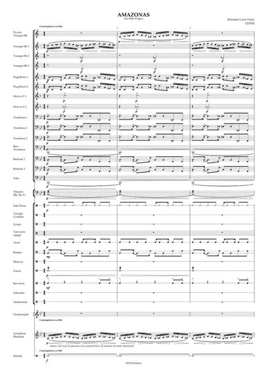 Amazonas - Iara Mãe D'água