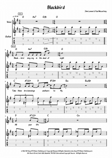 Blackbird (arr. Meowscore)