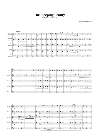 The Sleeping Beauty Waltz for Recorder Quintet (arr. Langanho)