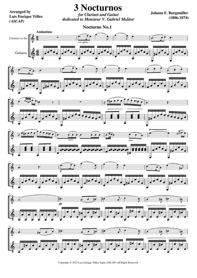 3 Nocturnes for Clarinet and Guitar (arr. Luis Enrique Téllez)