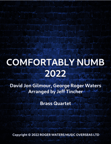 Comfortably Numb 2022 (arr. Jeff Tincher)