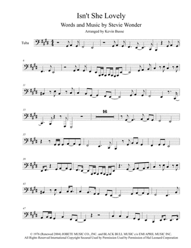 Isn't She Lovely (arr. Kevin Busse)